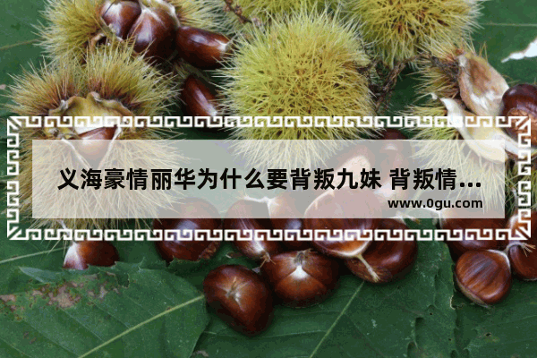 义海豪情丽华为什么要背叛九妹 背叛情义的历史故事