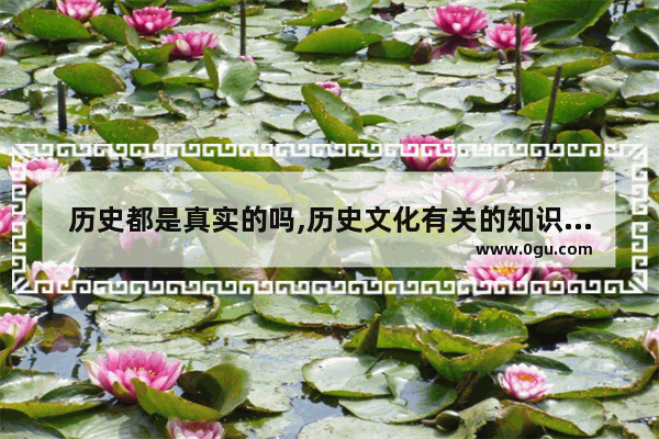 历史都是真实的吗,历史文化有关的知识资料