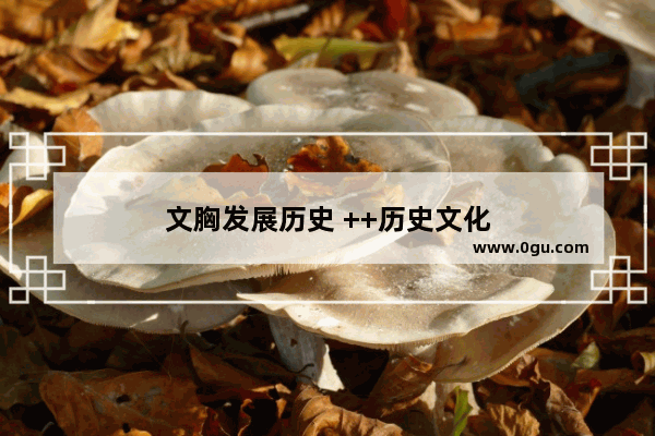 文胸发展历史 ++历史文化