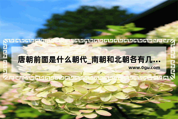 唐朝前面是什么朝代_南朝和北朝各有几个朝代?他们的名称分别是什么?他们是同时出现还是依次更替