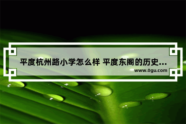 平度杭州路小学怎么样 平度东阁的历史文化