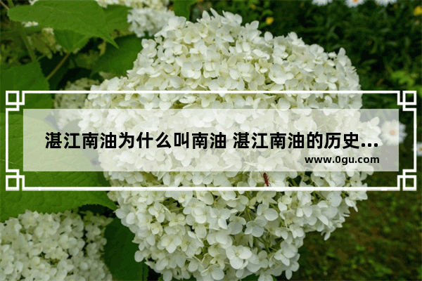 湛江南油为什么叫南油 湛江南油的历史文化