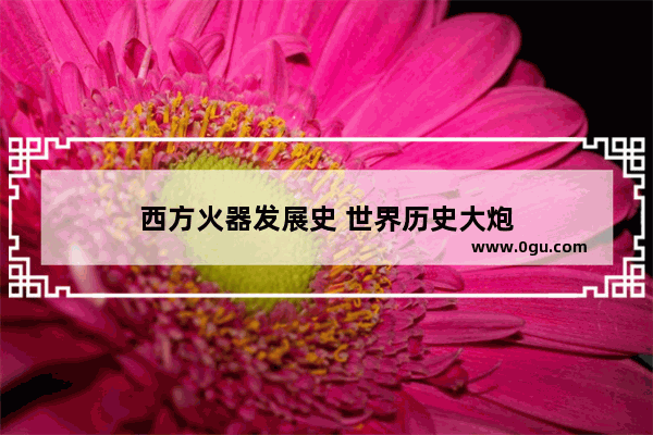西方火器发展史 世界历史大炮