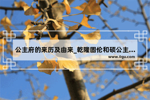 公主府的来历及由来_乾隆固伦和硕公主嫁给谁了