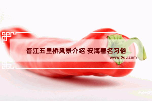 晋江五里桥风景介绍 安海著名习俗