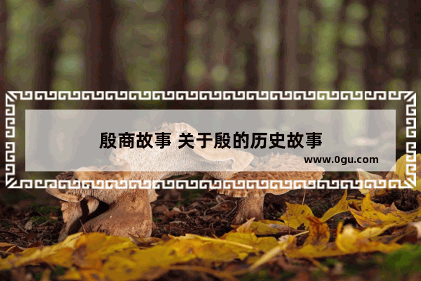 殷商故事 关于殷的历史故事