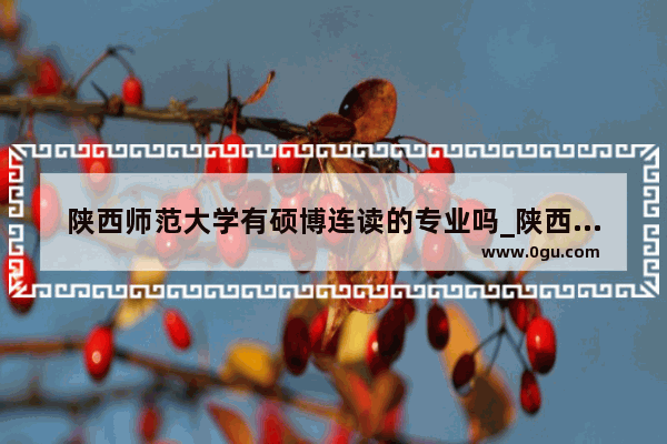 陕西师范大学有硕博连读的专业吗_陕西师范大学音乐学院有博士点吗