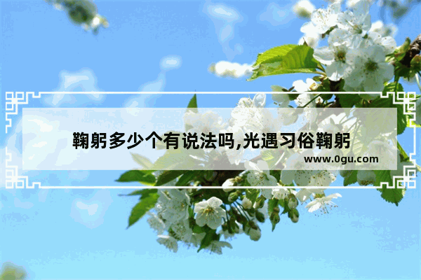 鞠躬多少个有说法吗,光遇习俗鞠躬