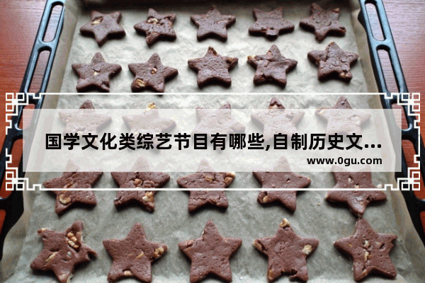 国学文化类综艺节目有哪些,自制历史文化节目简介