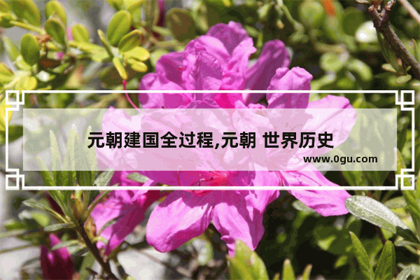 元朝建国全过程,元朝 世界历史