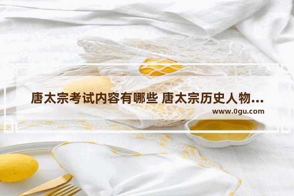 唐太宗考试内容有哪些 唐太宗历史人物专项