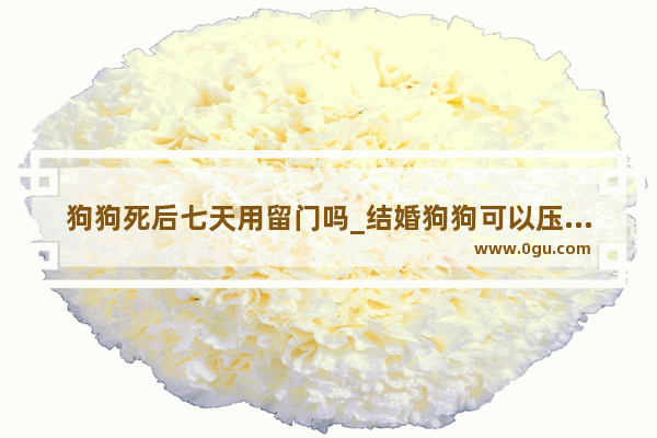 狗狗死后七天用留门吗_结婚狗狗可以压车么