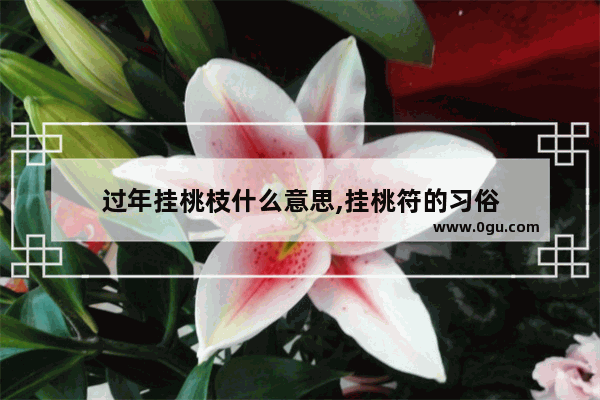 过年挂桃枝什么意思,挂桃符的习俗