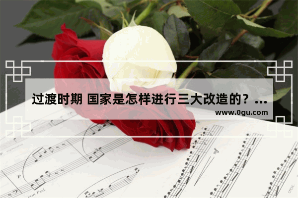 过渡时期 国家是怎样进行三大改造的？有那些弊端 改造世界历史