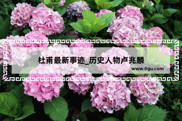杜甫最新事迹_历史人物卢兆麟