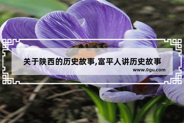 关于陕西的历史故事,富平人讲历史故事
