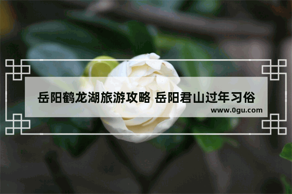 岳阳鹤龙湖旅游攻略 岳阳君山过年习俗