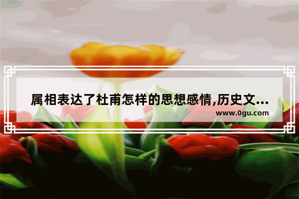 属相表达了杜甫怎样的思想感情,历史文化古迹指什么生肖