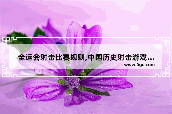 全运会射击比赛规则,中国历史射击游戏规则