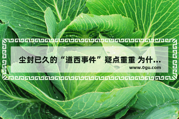 尘封已久的“道西事件”疑点重重 为什么美国从不正面回答_世界历史疑点