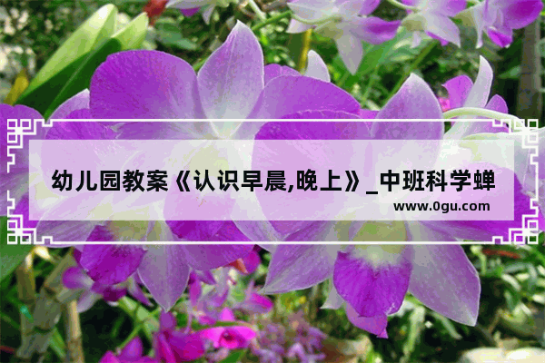 幼儿园教案《认识早晨,晚上》_中班科学蝉的一生教案