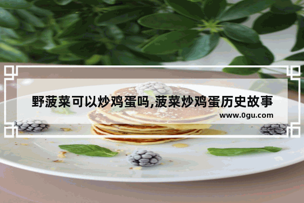 野菠菜可以炒鸡蛋吗,菠菜炒鸡蛋历史故事