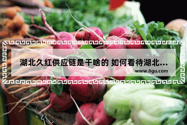 湖北久红供应链是干啥的 如何看待湖北红色历史文化
