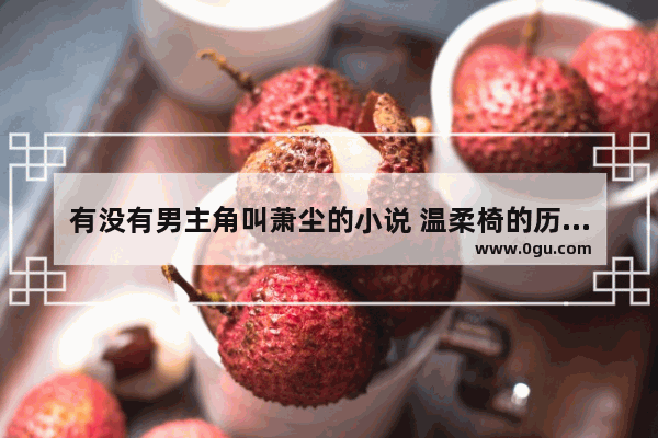 有没有男主角叫萧尘的小说 温柔椅的历史故事