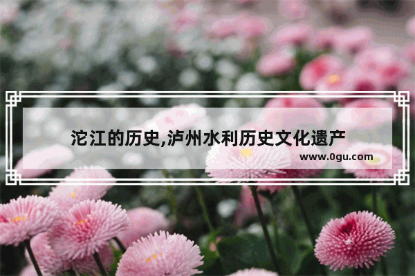 沱江的历史,泸州水利历史文化遗产