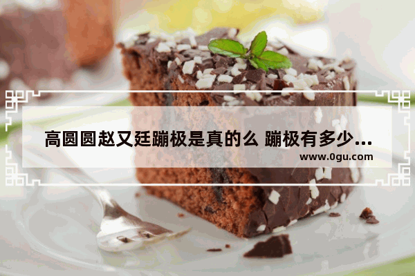 高圆圆赵又廷蹦极是真的么 蹦极有多少历史故事