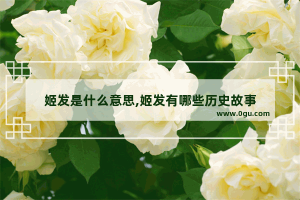 姬发是什么意思,姬发有哪些历史故事