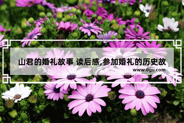 山君的婚礼故事 读后感,参加婚礼的历史故事