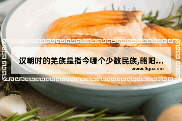 汉朝吋的羌族是指今哪个少数民族,略阳羌族丧事习俗