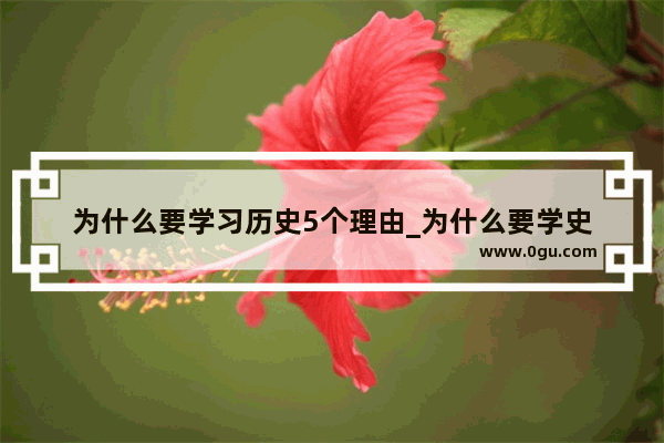 为什么要学习历史5个理由_为什么要学史