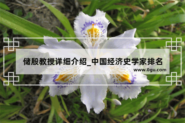 储殷教授详细介绍_中国经济史学家排名