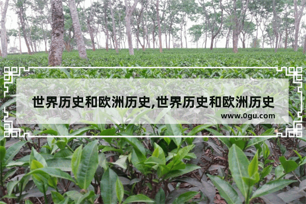 世界历史和欧洲历史,世界历史和欧洲历史