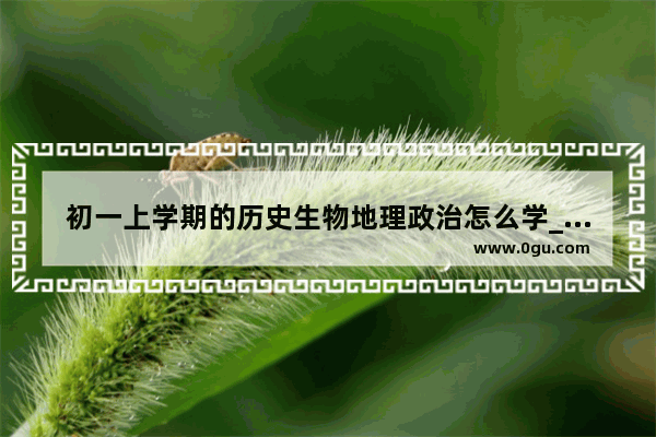 初一上学期的历史生物地理政治怎么学_综合课怎么上