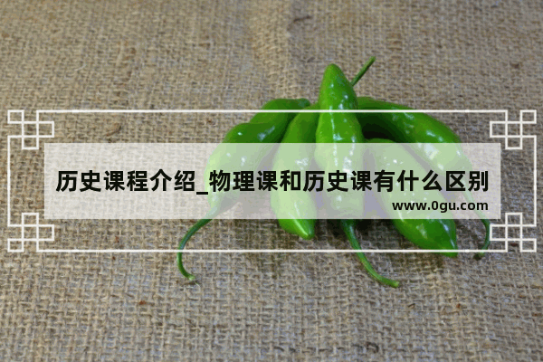 历史课程介绍_物理课和历史课有什么区别