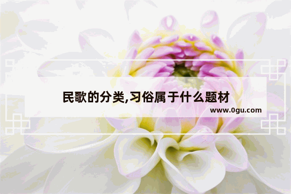 民歌的分类,习俗属于什么题材