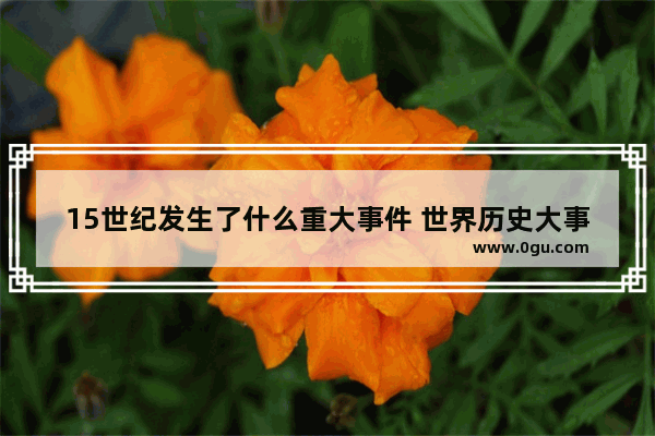 15世纪发生了什么重大事件 世界历史大事记详细版