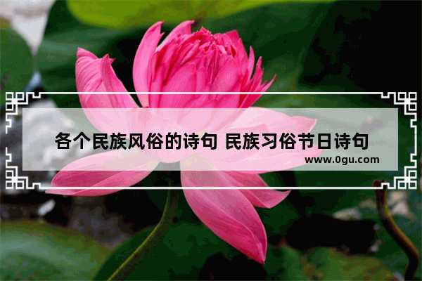 各个民族风俗的诗句 民族习俗节日诗句
