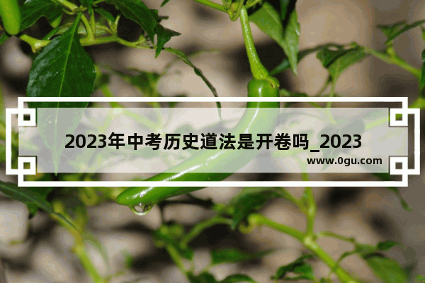 2023年中考历史道法是开卷吗_2023中考历史答题技巧和方法