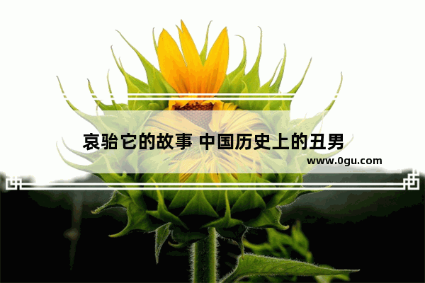哀骀它的故事 中国历史上的丑男