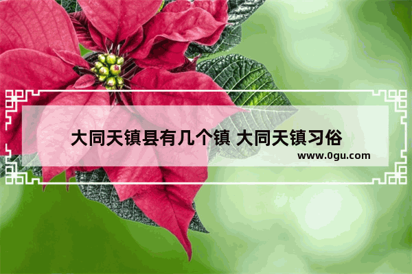 大同天镇县有几个镇 大同天镇习俗