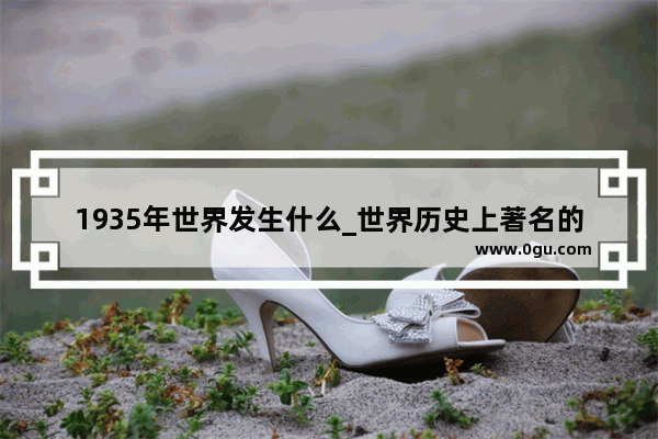 1935年世界发生什么_世界历史上著名的经济战