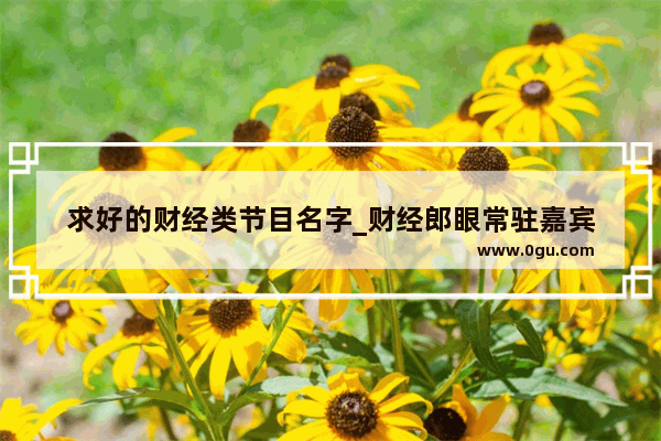 求好的财经类节目名字_财经郎眼常驻嘉宾