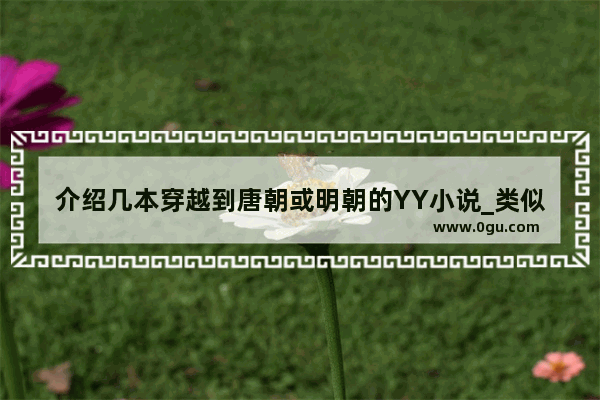 介绍几本穿越到唐朝或明朝的YY小说_类似寻秦记一样yy的穿越小说
