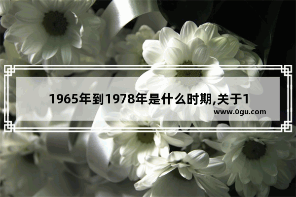 1965年到1978年是什么时期,关于1965年的中国历史