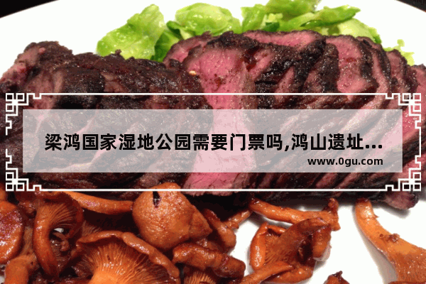 梁鸿国家湿地公园需要门票吗,鸿山遗址的历史故事