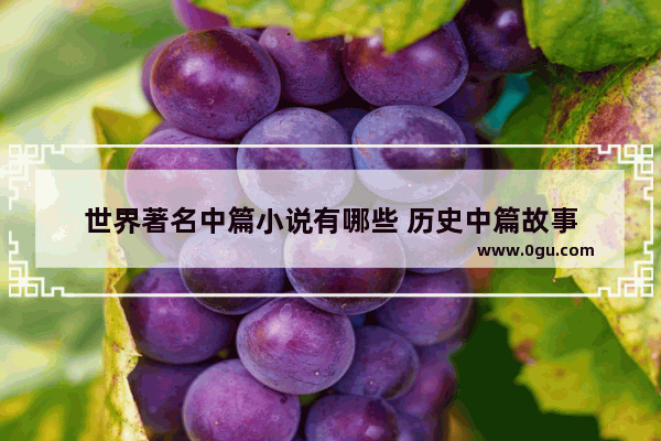 世界著名中篇小说有哪些 历史中篇故事